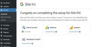 Plugging WordPress Site Kit